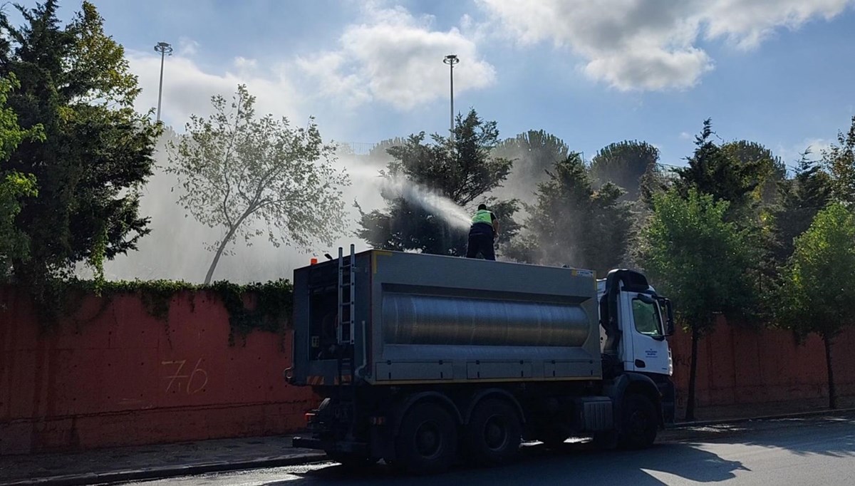 İstanbul'da otluk alanda yangın