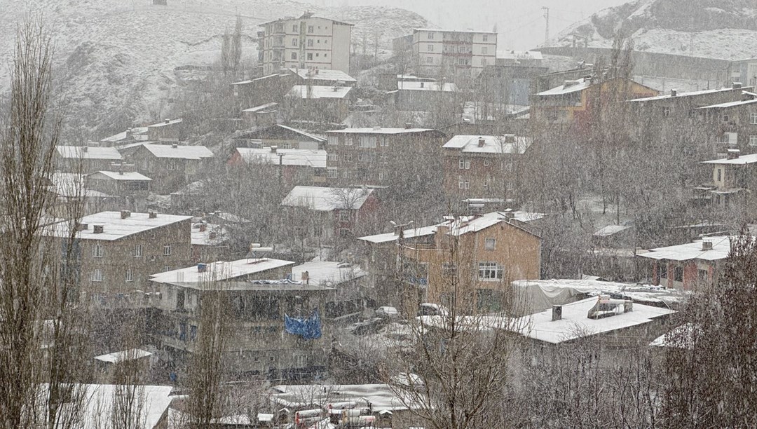 Hakkari'de nisan karı yağdı
