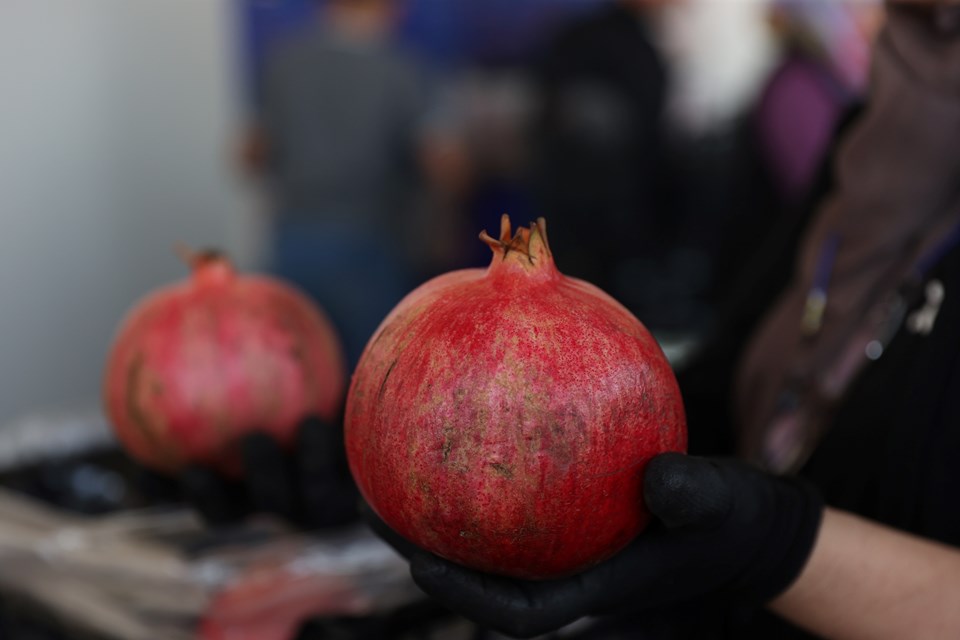 Türkiye'nin nar üretiminin yüzde 21'i Antalya'dan - 1