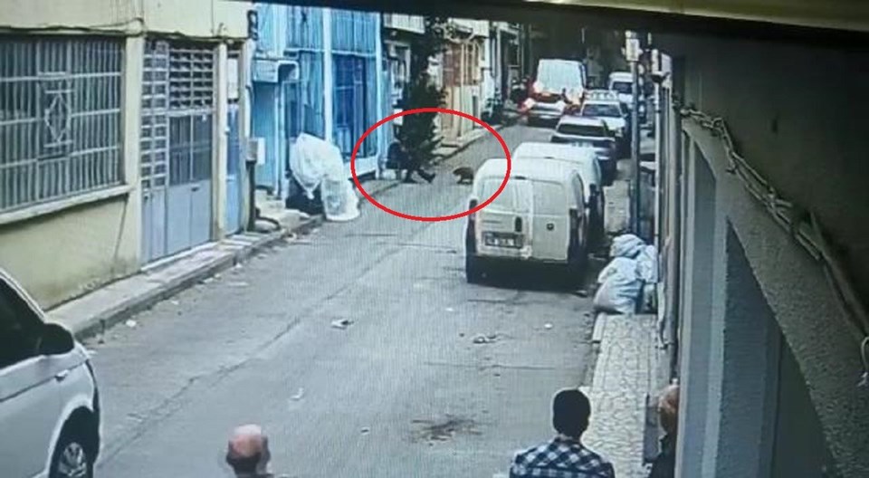 Pitbull silah sayıldı, baba-oğula hapis cezası istendi - 1 Pitbull silah sayıldı, baba-oğula hapis cezası istendi - 1