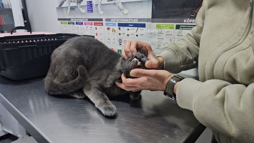 4Hq HIActkmSnOQc XIG6Q