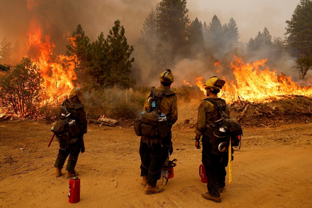 California'da orman yangını: 11 bini aşkın kişi tahliye edildi - 10