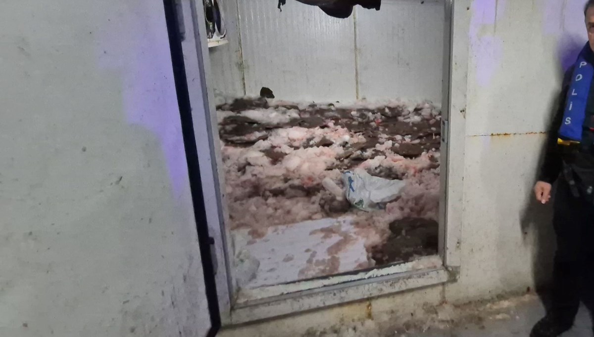 6 ton kaçak kalkan balığı ele geçirildi