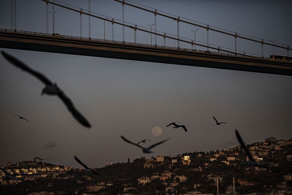 T�rkiye ve d�nyadan S�per Ay manzaralar�