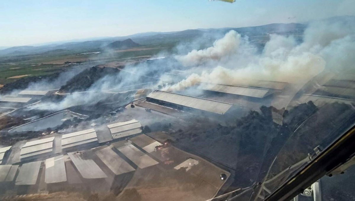 İzmir'de süt tesisinde çıkan yangın otluk alana yayıldı