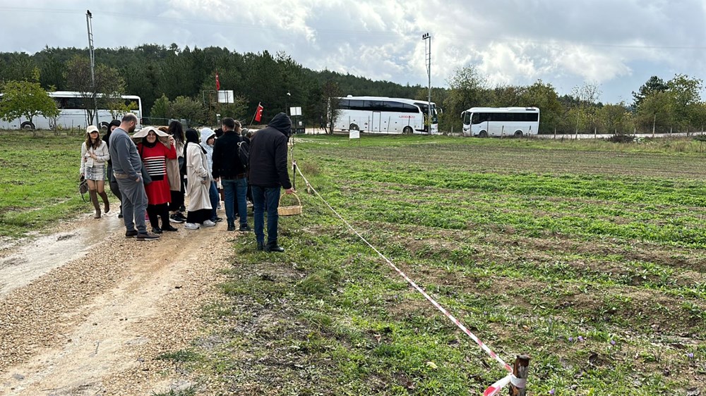 Dünyanın ne pahalı baharatını görmek için akın ettiler: Kilosu 320 bin liradan alıcı buluyor - 2