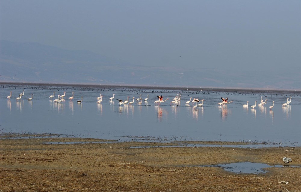'Kuş cenneti' Marmara Gölü'nde derinlik 40 santimetreye düştü - 8