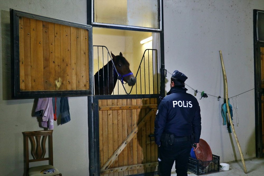 Adana Yeşiloba Hipodromu'nda narkotik uygulaması yapıldı - 1