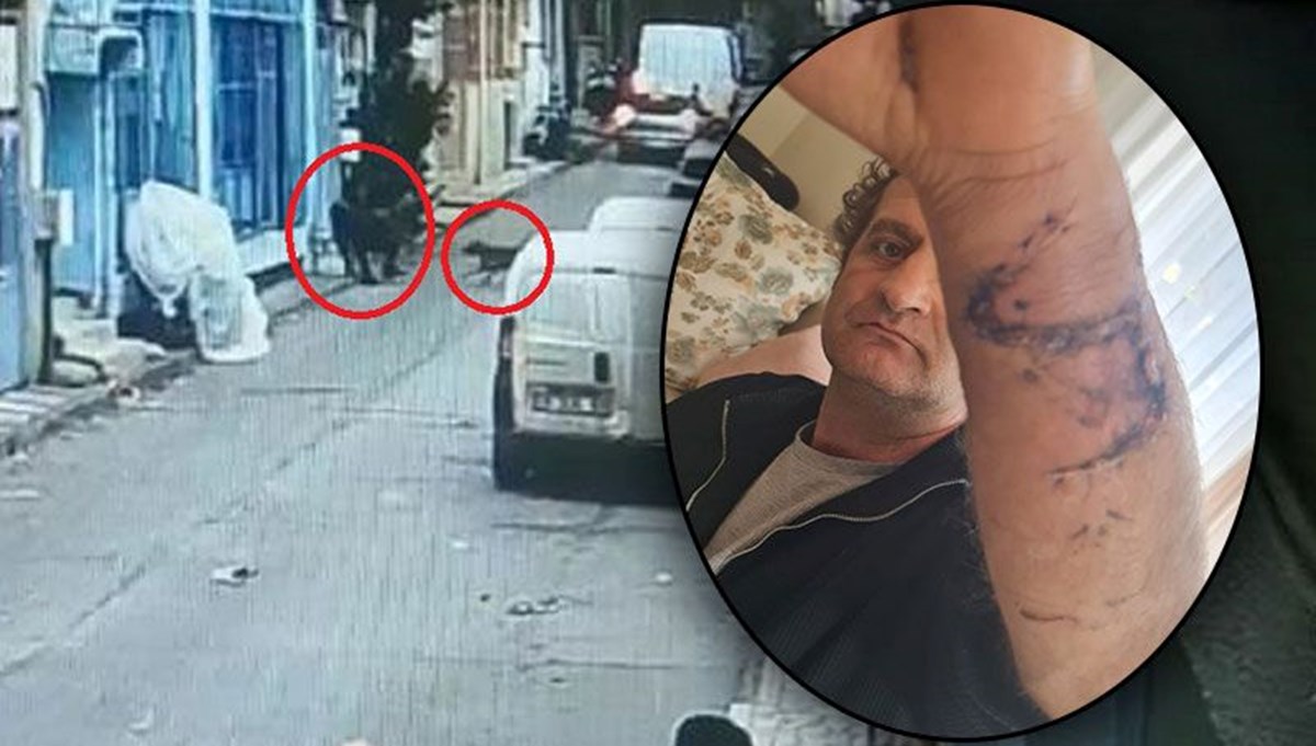 Pitbull köpeği husumetlilerine saldırtanlar ağır cezada yargılanacak Pitbull köpeği husumetlilerine saldırtanlar ağır cezada yargılanacak