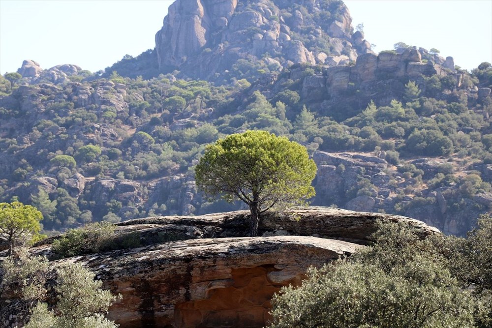 Latmos'daki kaya resimleri, dünyaya kardeşlik mesajıyla tanıtılacak - 1