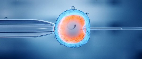 Tüp bebek başarısızlıklarında rahim içi dokusunun rolü inceleniyor