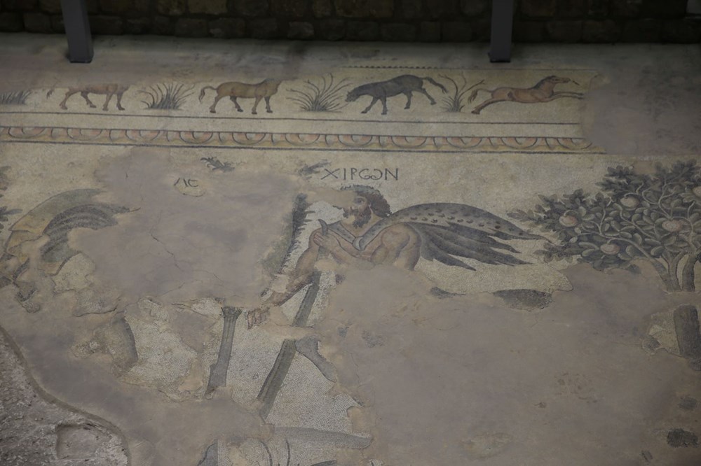 Aşil'in hayatı ve savaşçı Amazon kadınlarının mozaikleri Şanlıurfa'da - 3