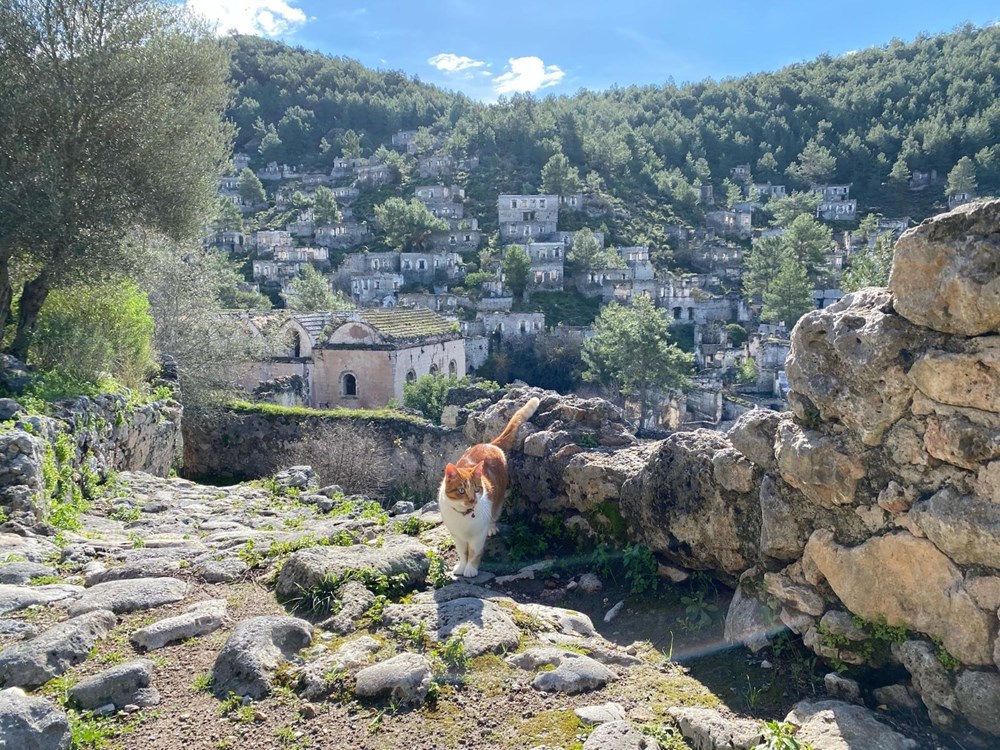 Despite the pandemic, the 'ghost village' is a tourist attraction - 4