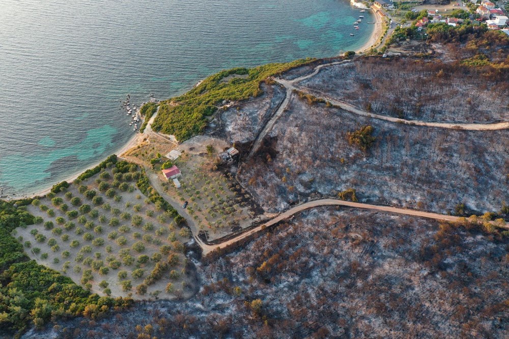 İzmir'de Aliağa ve Menderes'te orman yangını - 24