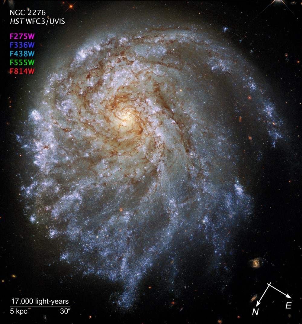 NASA Dünya'dan 3,4 milyar ışık yılı uzaklıkta bir 'Einstein halkası' görüntüledi - 2