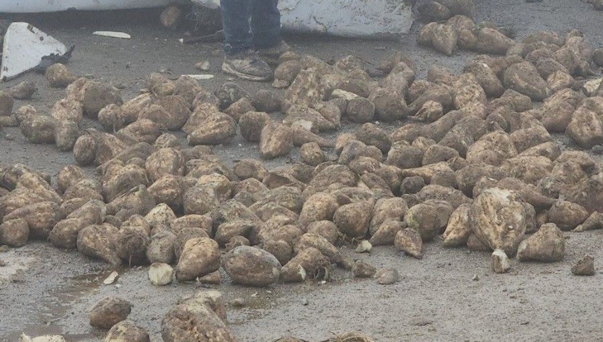 Afşin'de pancar yüklü tır devrildi Afşin'de pancar yüklü tır devrildi
