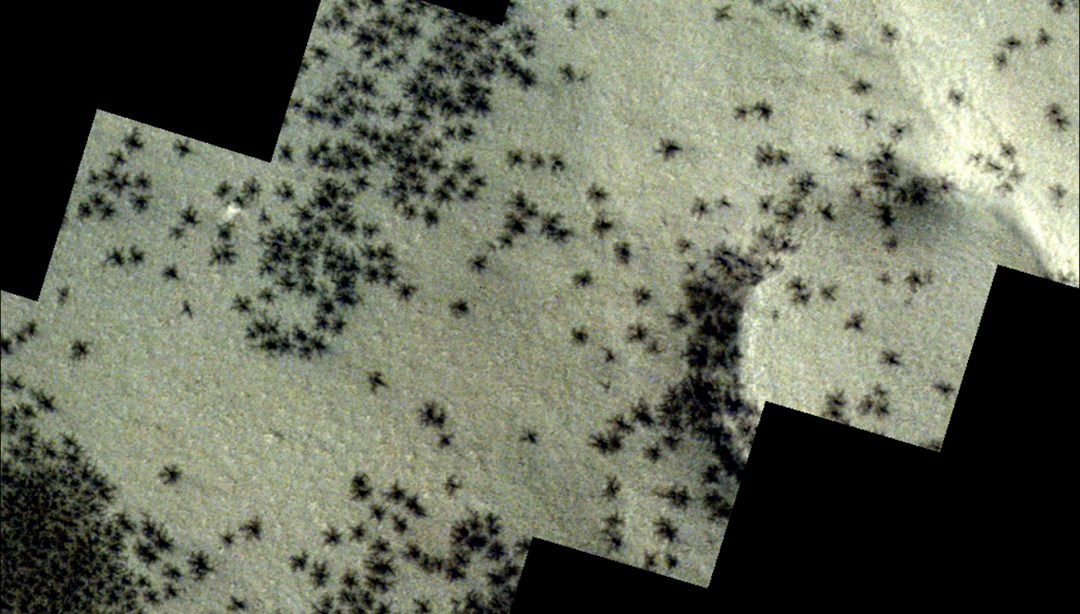 Mars zemininde, örümceğe benzeyen madde toplulukları gözlemlendi