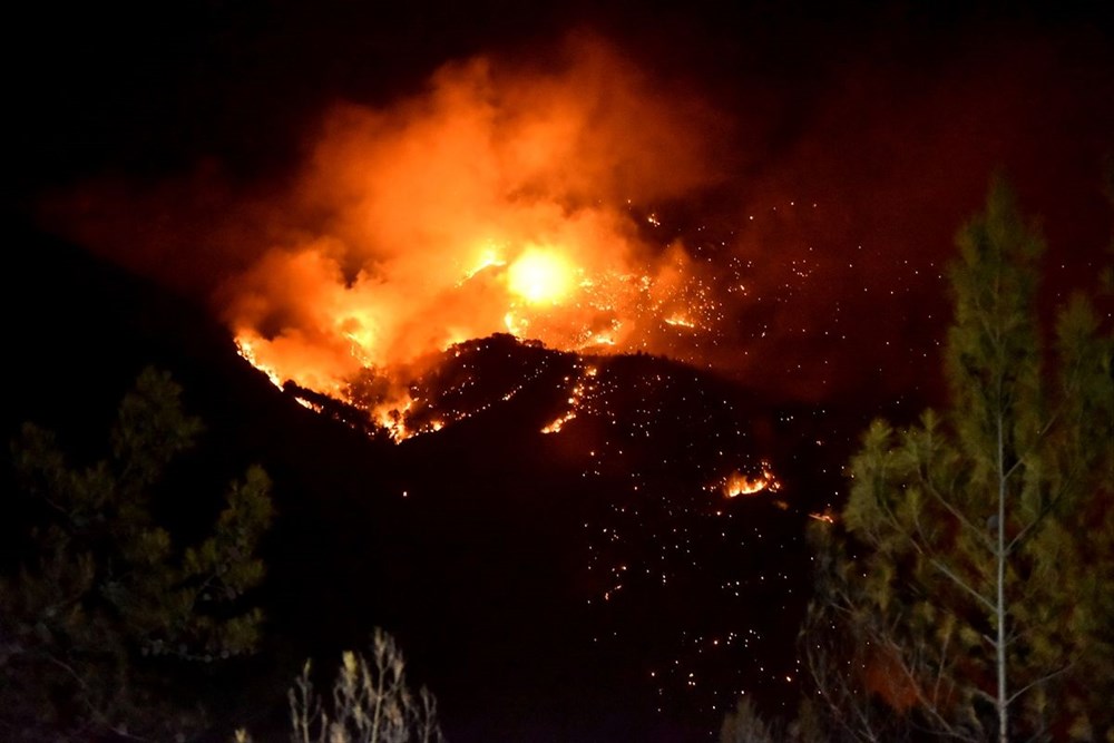 Hatay ve Mersin'de orman yangını - 26
