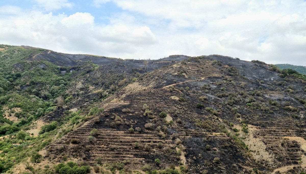Uçmakdere’de yanan alanlar havadan görüntülendi