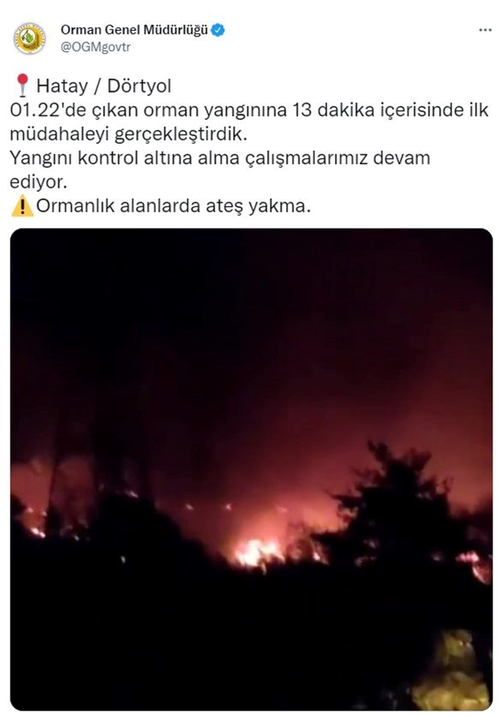 Hatay'da ormanlık alanda çıkan yangın iki noktada sürüyor - 5