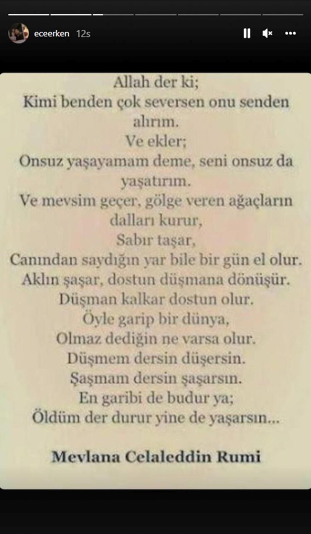 Ölen eşinin ardından Ece Erken paylaştı: Öldüm der durur yine de yaşarsın - 4