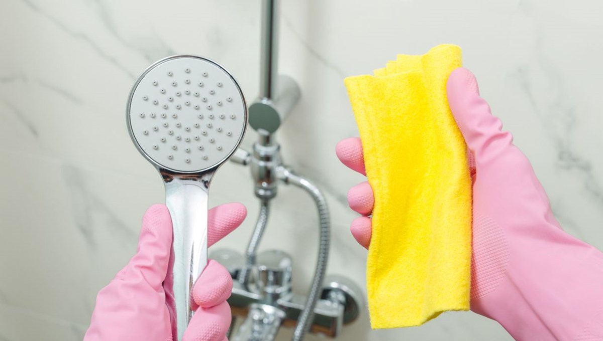 Ezber bozan araştırma: Diş fırçası yüzeyinde