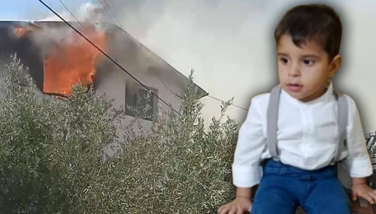 Asaf, yaşam mücadelesini kaybetti