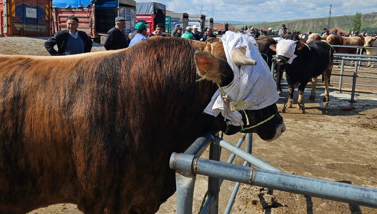 Yozgat'ta hayvan pazarları tedbir amaçlı kapatıldı