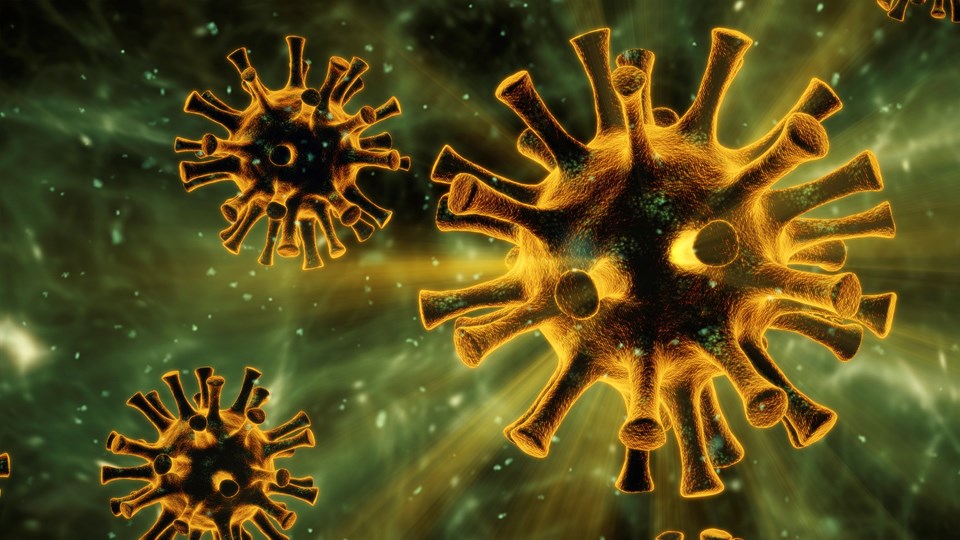 “Yeni corona virüs mutasyonu İngiltere’de değil, ABD’de ortaya çıktı” iddiası - 2