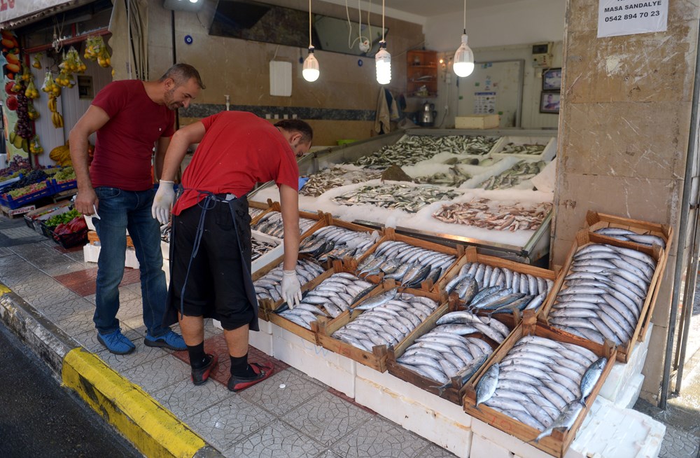 Karadeniz'de bir gecede 7 bin kasa palamut - 1