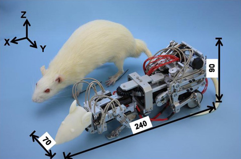 Robot fare laboratuvar farelerine korku salıyor - 1