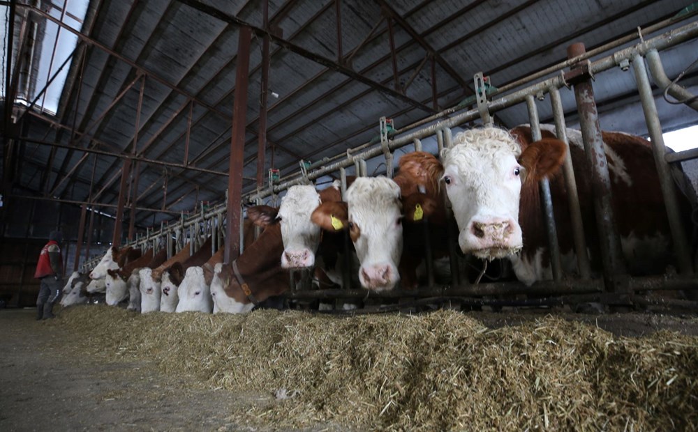 59 yaşında devlet desteğiyle tesis kurdu şimdi fabrikalara satıyor - 7