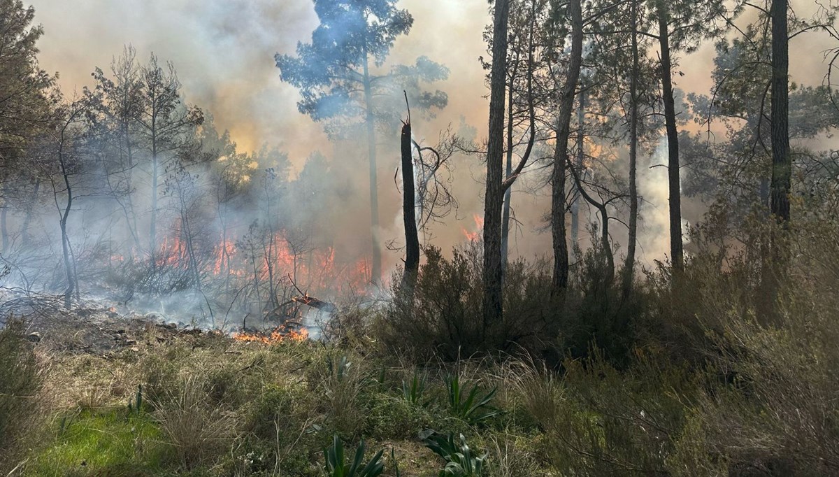 Antalya'da orman yangını