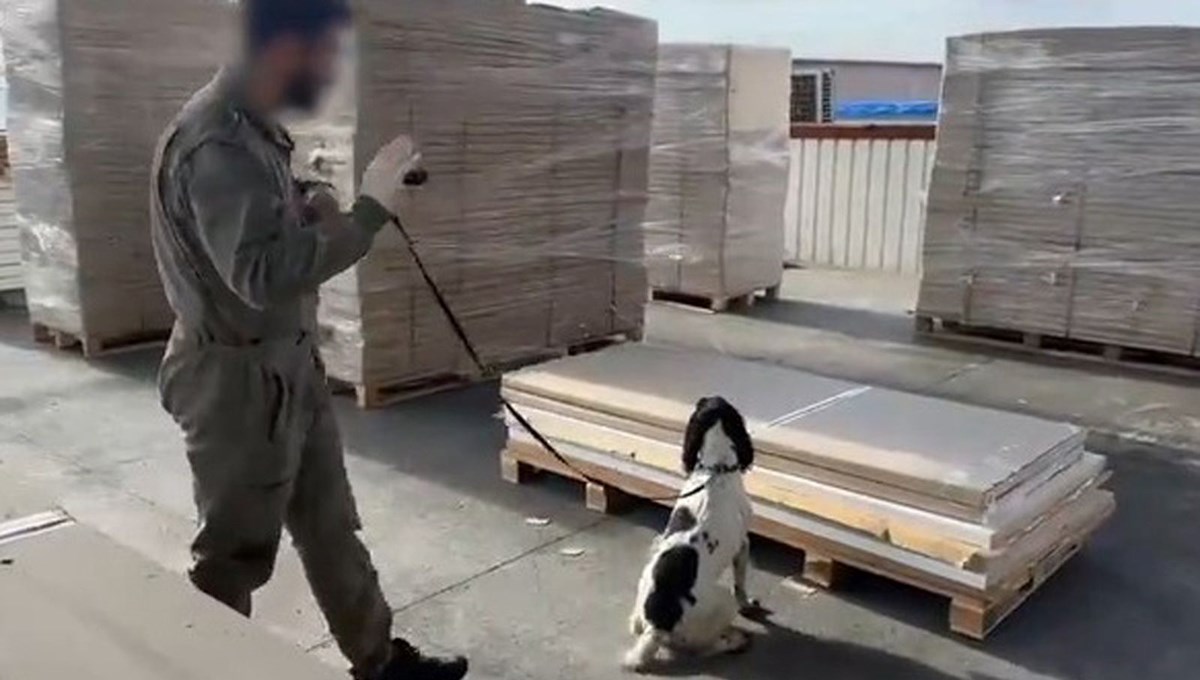 Gümrük muhafaza ekipleri kaçakçılara göz açtırmadı! Ticari eşya, uyuşturucu, ilaç... Gümrük muhafaza ekipleri kaçakçılara göz açtırmadı! Ticari eşya, uyuşturucu, ilaç...
