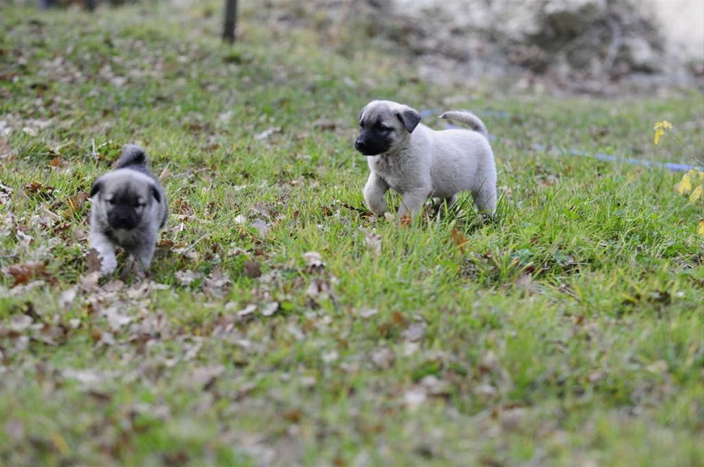 'Doğada Tek Başına' yeni sezona başlıyor - 7