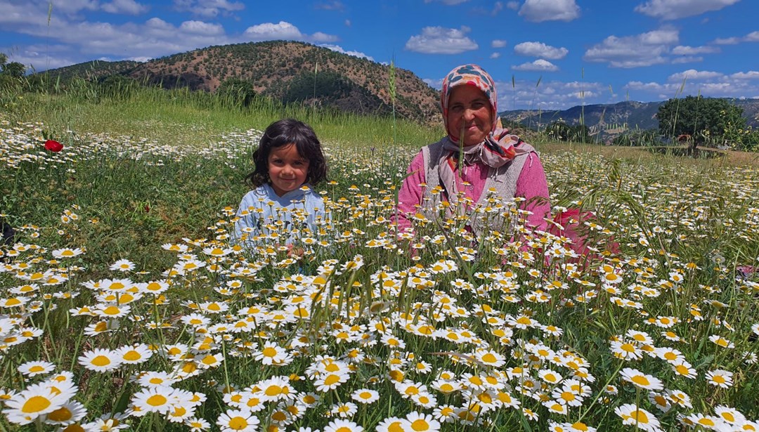 Geçen yıl kilosu 100 liraydı, bu yıl 260 lira: İlçedeki kadınların gelir kapısı oldu
