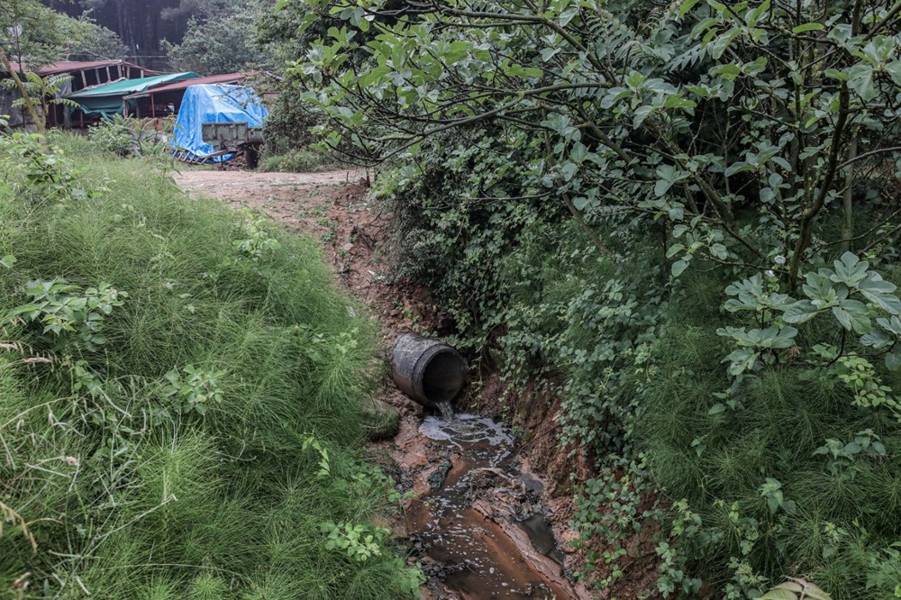Atık sular Aydos Gölü'nü tehdit ediyor - 6
