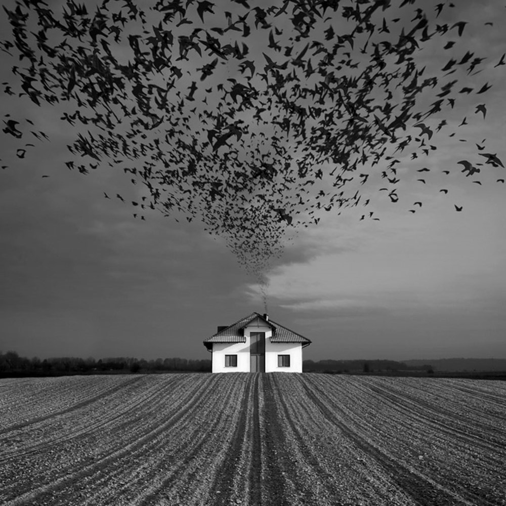 Необычный черный. Польский фотограф Дариуш Климчак. Dariusz Klimczak фотограф. Сюрреализм чёрно белое. Черно белые шедевры.