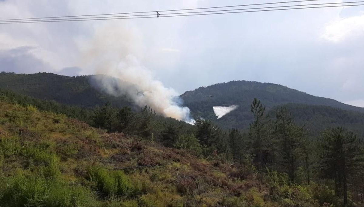 Bolu’da orman yangını (Havadan ve karadan müdahale başladı)