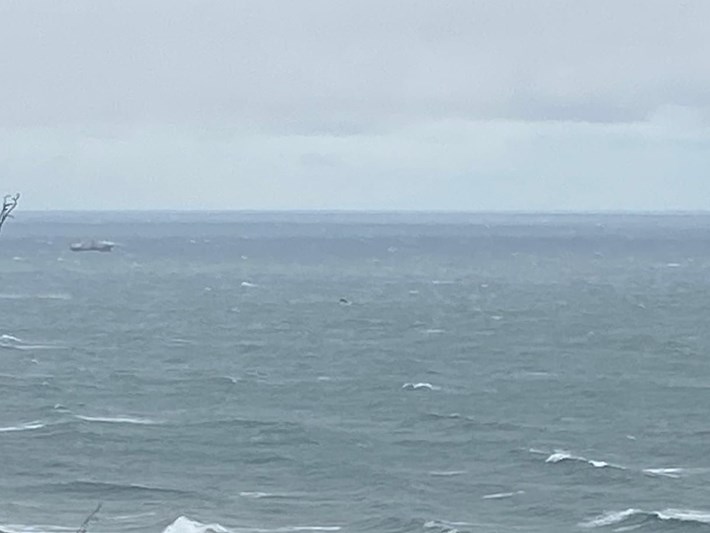 bartin haberleri son dakika bartin