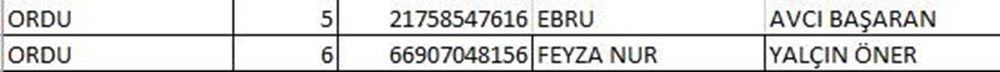 İYİ Parti milletvekili aday listesi açıklandı (İYİ Parti hangi illerde, kaç aday gösterdi?) - 19