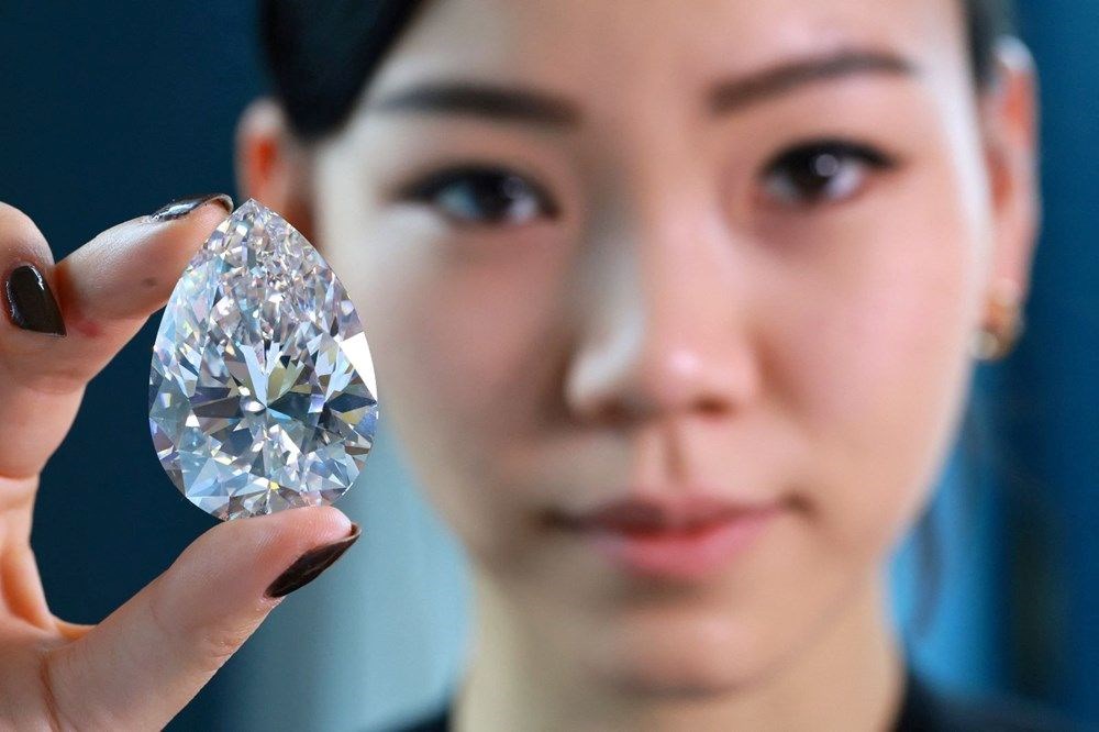 Dünyanın en büyük beyaz elması 287 milyon TL'ye satıldı - 4