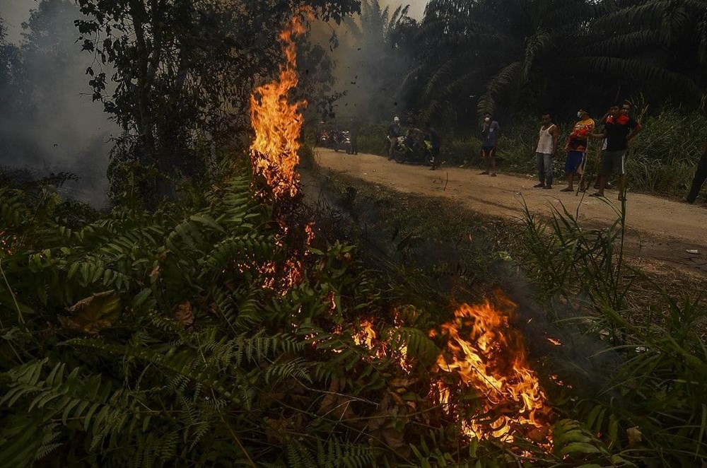 Endonezya yangınlar için yapay yağmur yağdıracak - 4