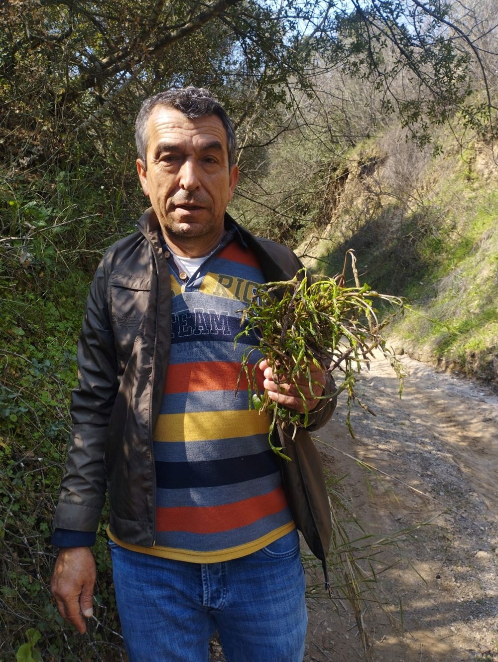 "Acı Ot"tan Sofraya: Kedirgenin Gizli Lezzeti ve İki Sürpriz Tarif 75 4y Mqdsp40O8gxs0 CAFgQ