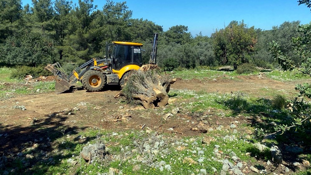 Ağaçları kesen tarla sahibine ağaç başı 1005 lira olmak üzere toplam 30 bin 150 lira idari para ceza kesildi.