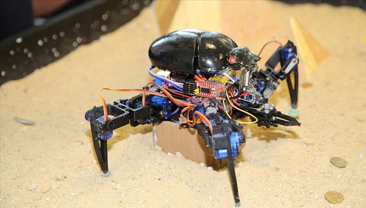 15. Uluslararası MEB Robot Yarışması başvuruları başladı 15. Uluslararası MEB Robot Yarışması başvuruları başladı