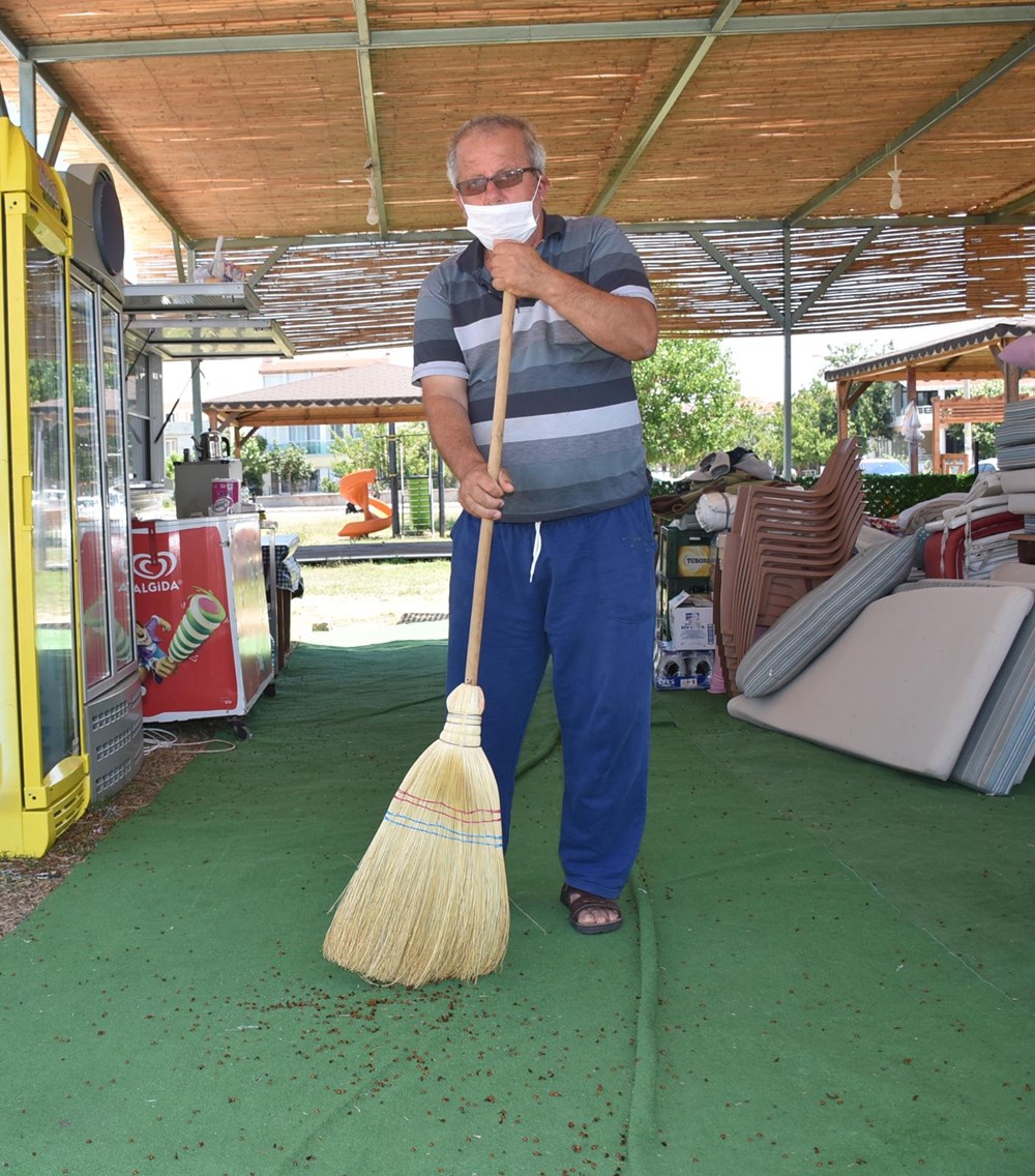 Saros Körfezi'nde uğur böceği istilası - 12
