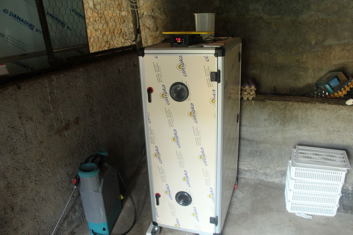 4zTOgfO-Vkm5-4SPLRCVOQ.jpg