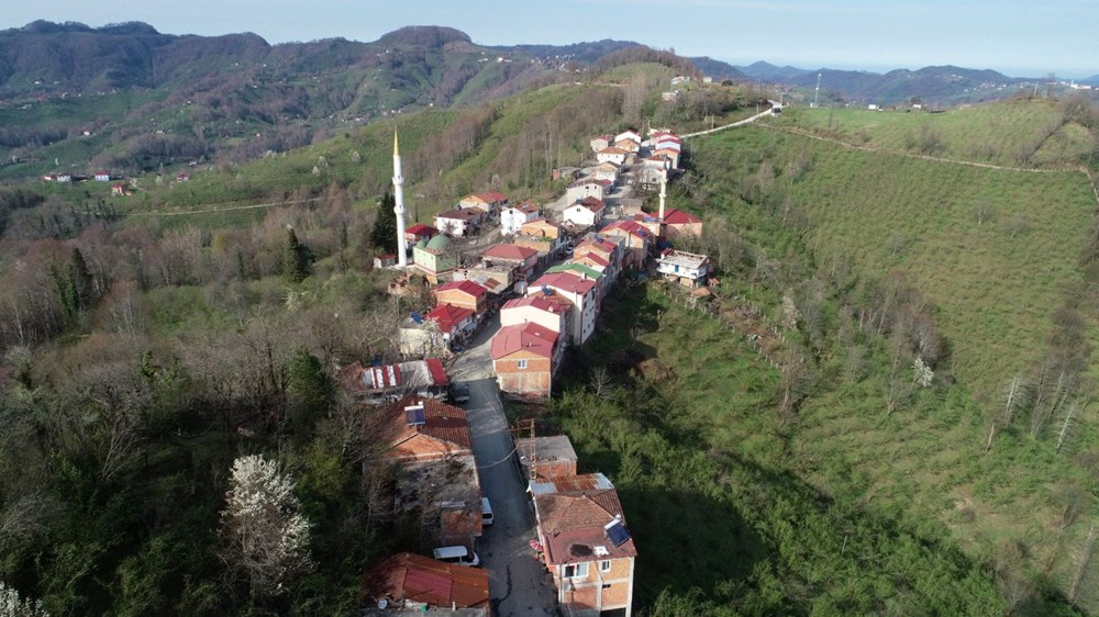 Ordu Van Arasi Mesafe Ordu Van Yol Haritasi Ordu Van Kac Saat Kac Km