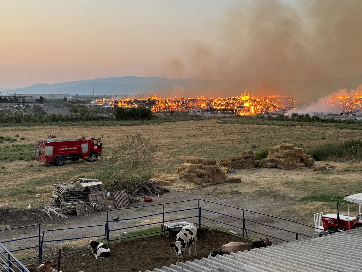 Aydın'da kağıt fabrikasındaki yangında 3. gün